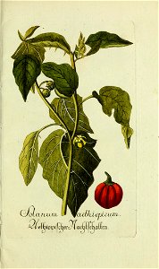 n132_w1150