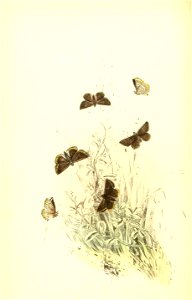 n131_w1150