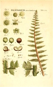 n206_w1150