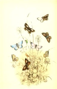 n123_w1150