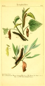 n122_w1150