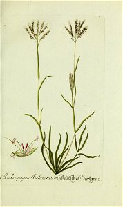 n14_w1150