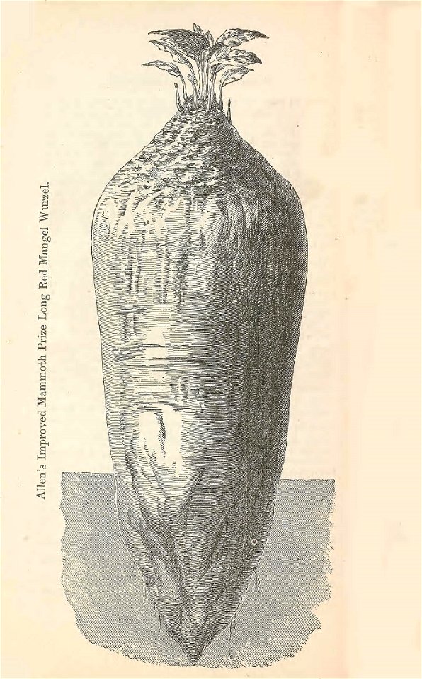 n33_w1150