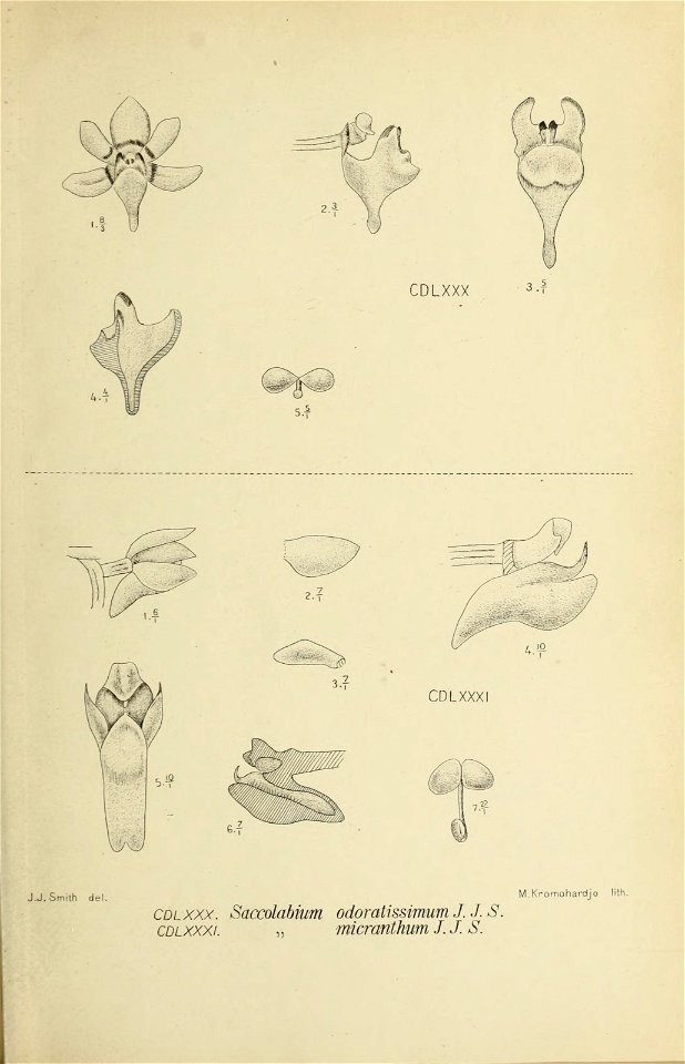n358_w1150