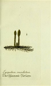 n94_w1150
