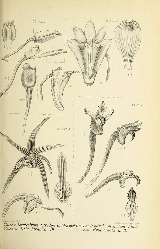 n216_w1150