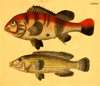 n172_w1150