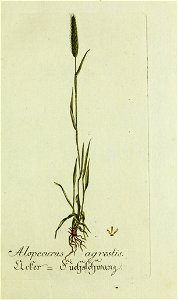 n20_w1150