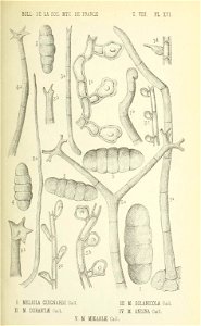 n298_w1150