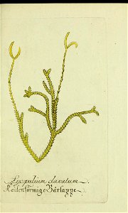 n110_w1150