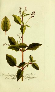 n46_w1150