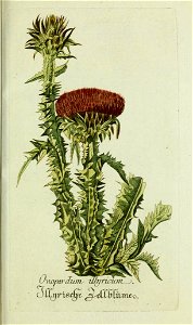 n104_w1150