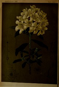 n565_w1150
