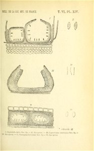 n178_w1150