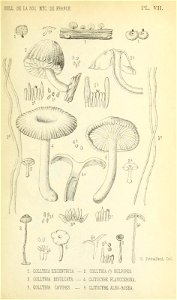 n176_w1150