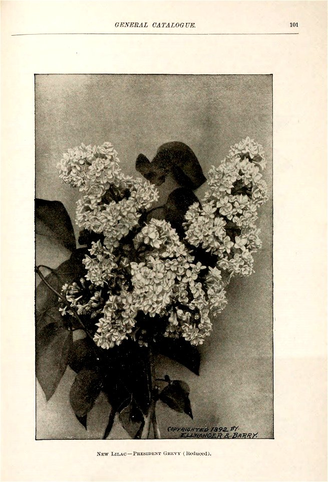 n102_w1150