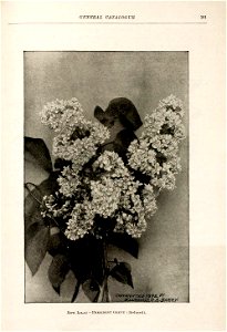 n102_w1150