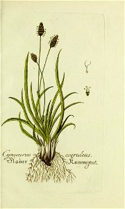 n68_w1150