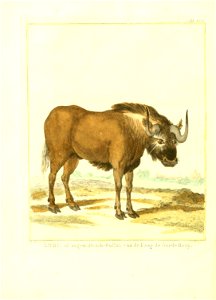 n241_w1150