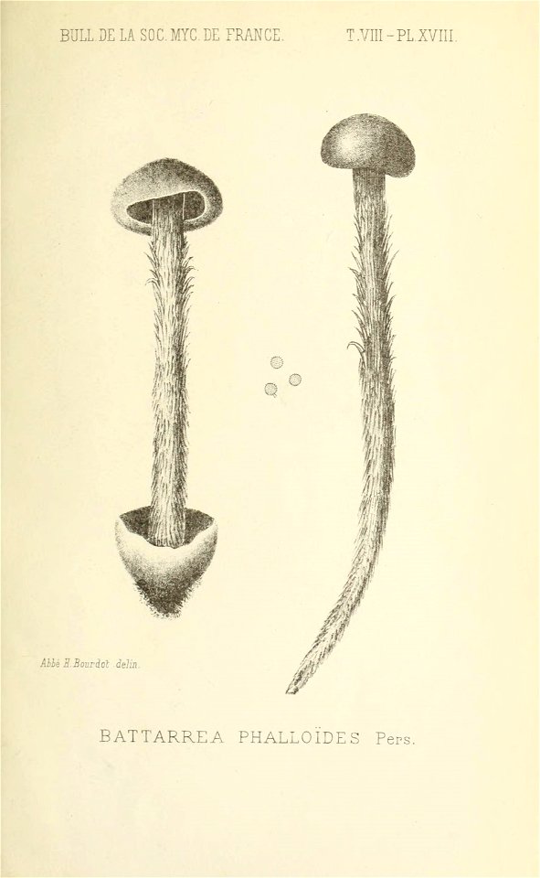 n302_w1150