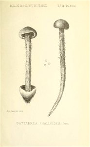 n302_w1150