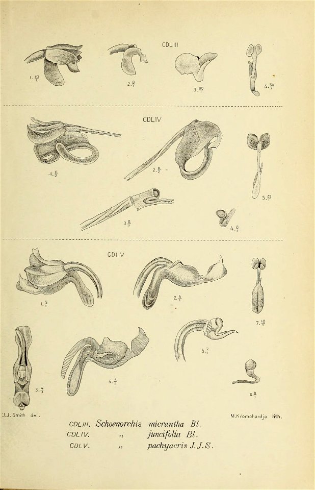 n334_w1150 - Traditional visual art under Public domain license