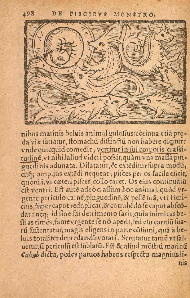 n565_w1150