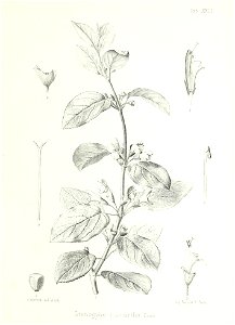 n108_w1150