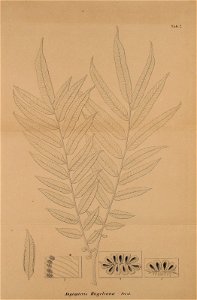 n761_w1150