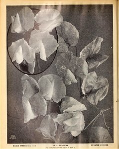 n463_w1150