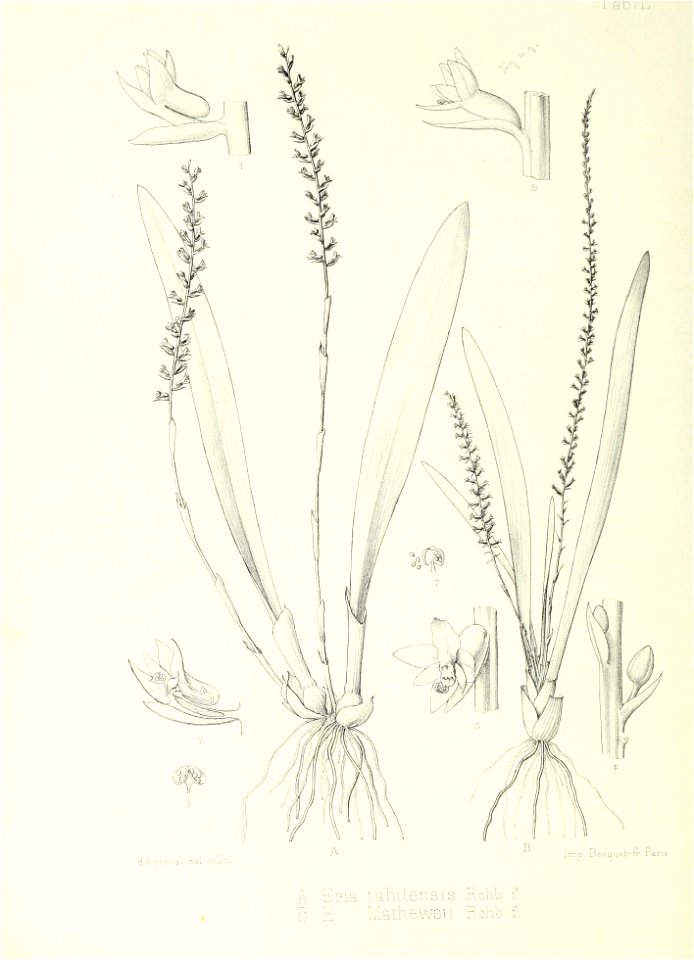 n205_w1150