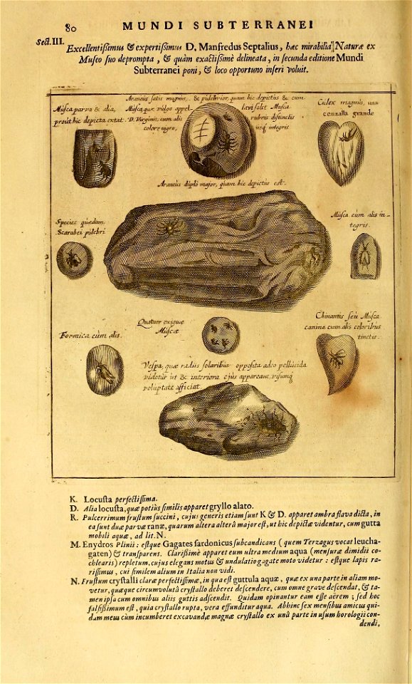n521_w1150