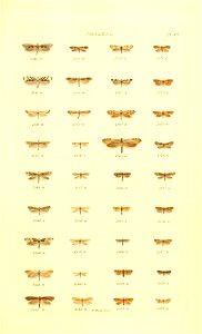n344_w1150