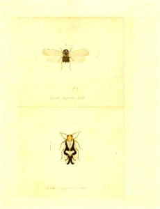 n192_w1150