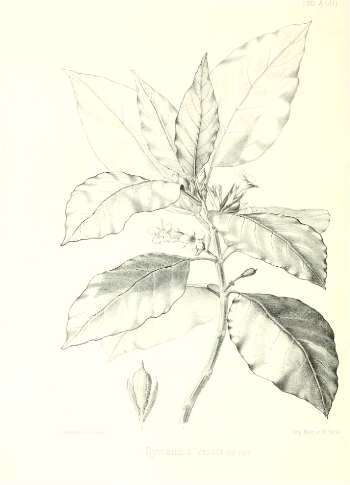 n179_w1150