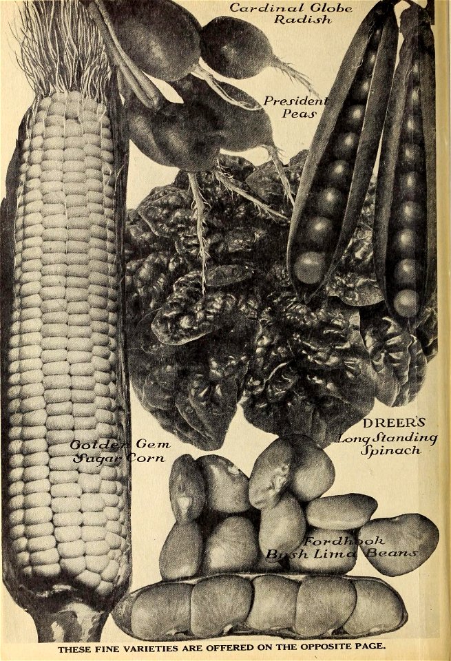 n5_w1150