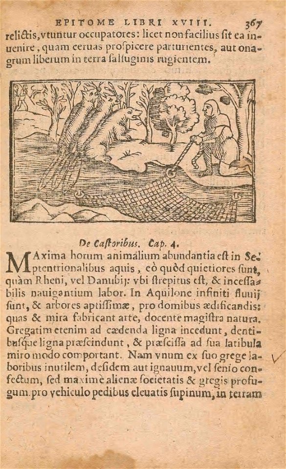 n434_w1150