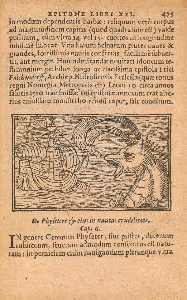 n542_w1150