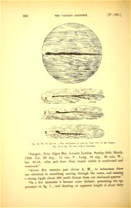n323_w1150