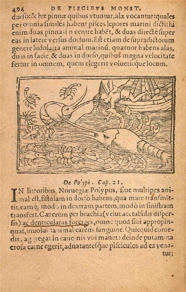 n561_w1150