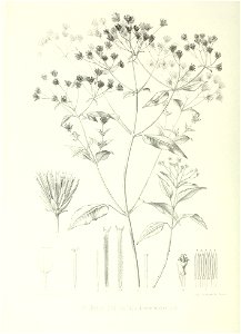 n167_w1150