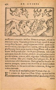 n497_w1150