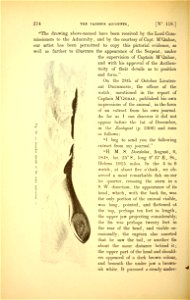 n293_w1150