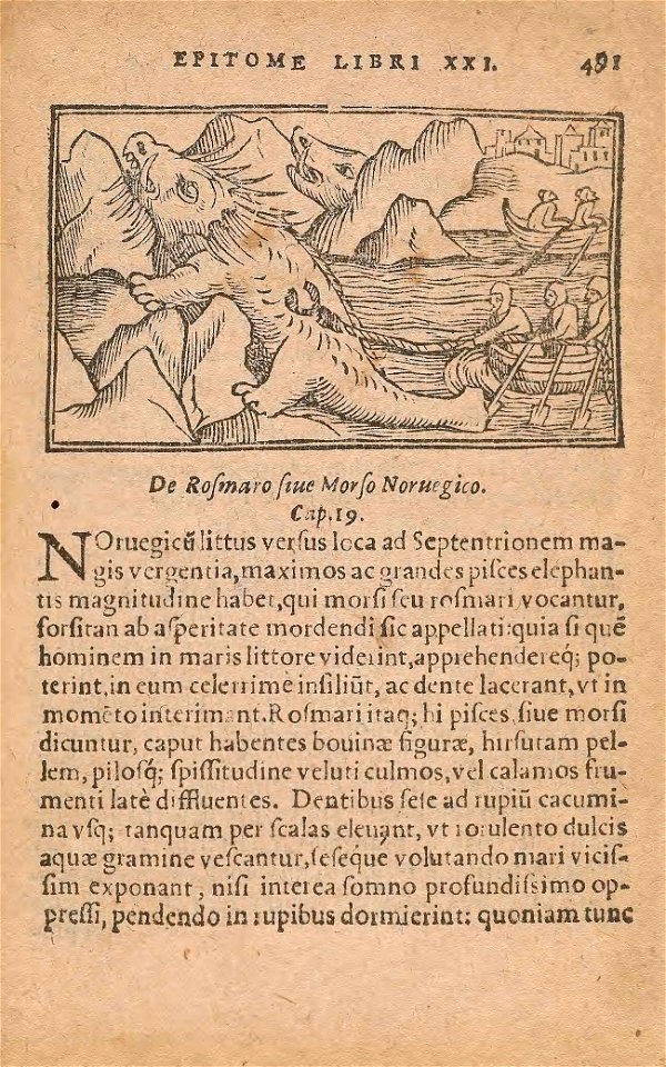 n558_w1150