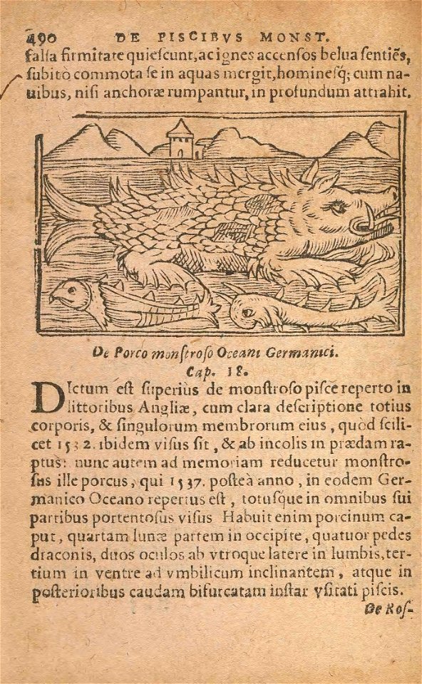 n557_w1150