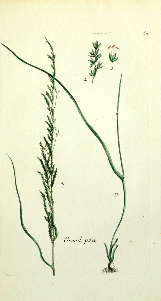 n226_w1150
