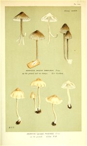 n181_w1150