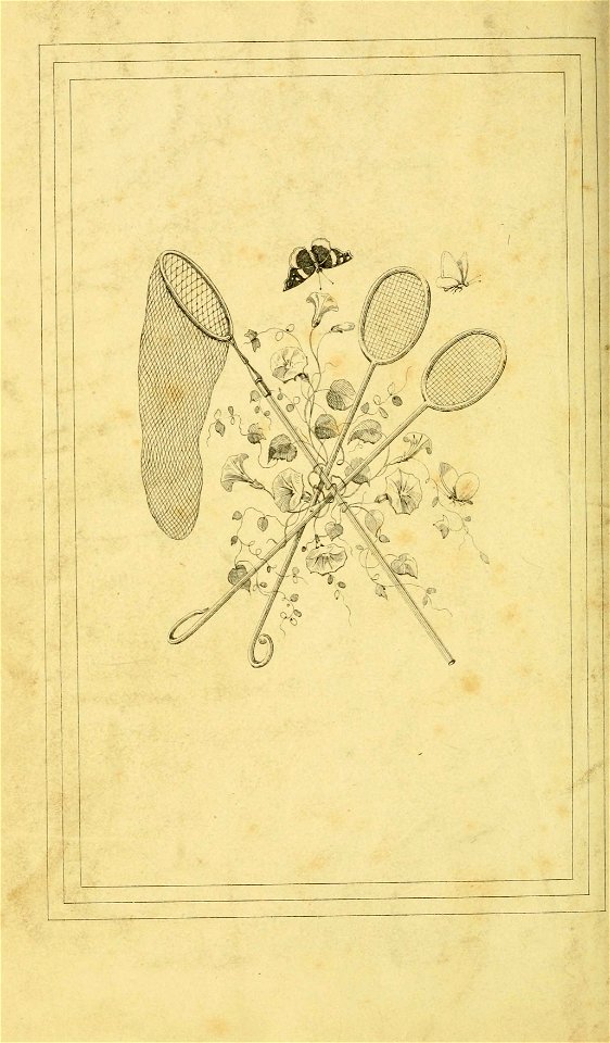 n403_w1150