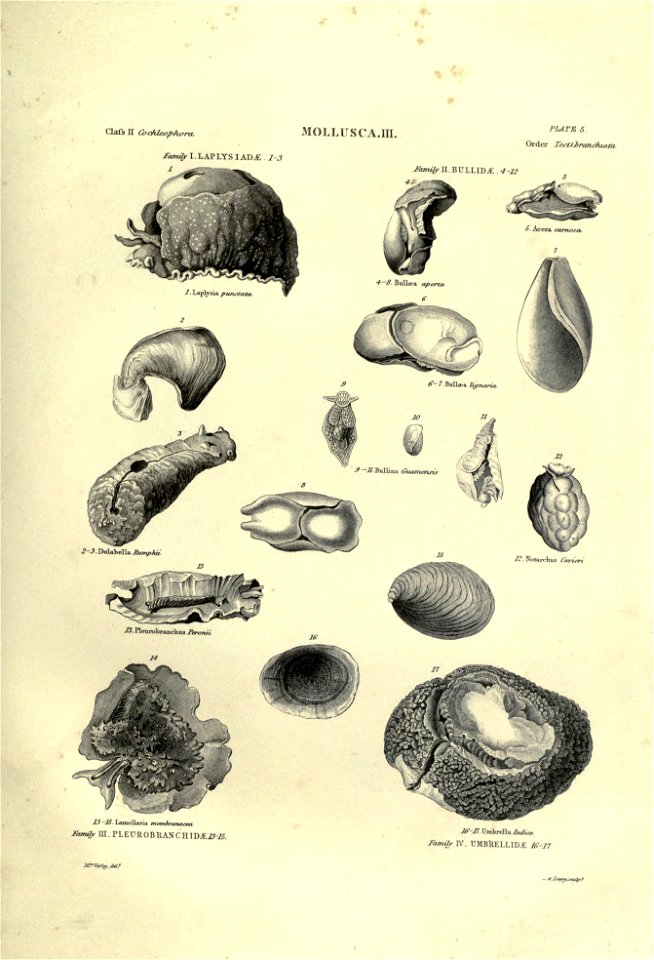 n302_w1150