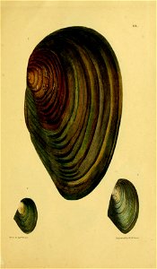 n184_w1150